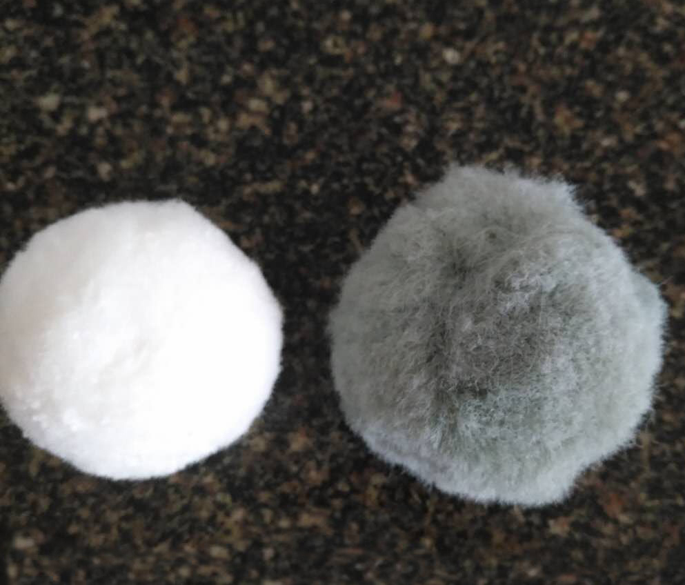 �w�S��?y��n)V��